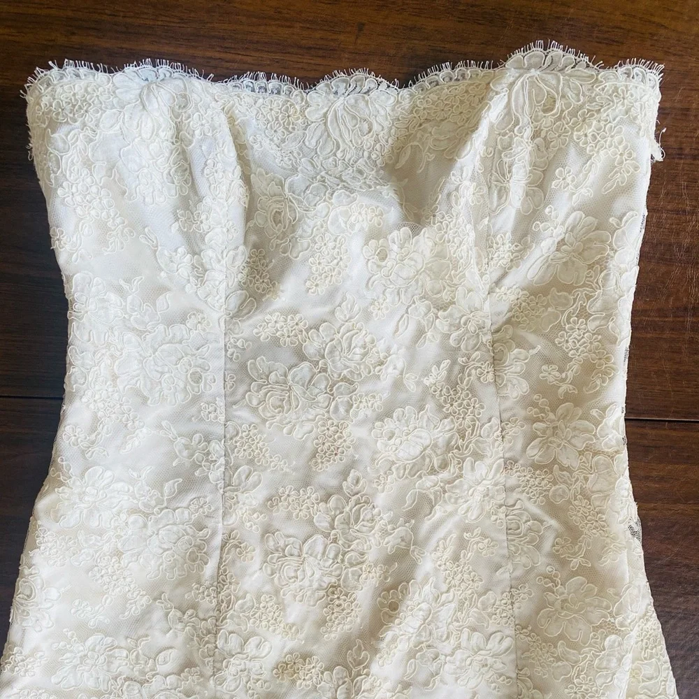 Monique Lhuillier Wedding Gown Dress - Picture 11 of 14